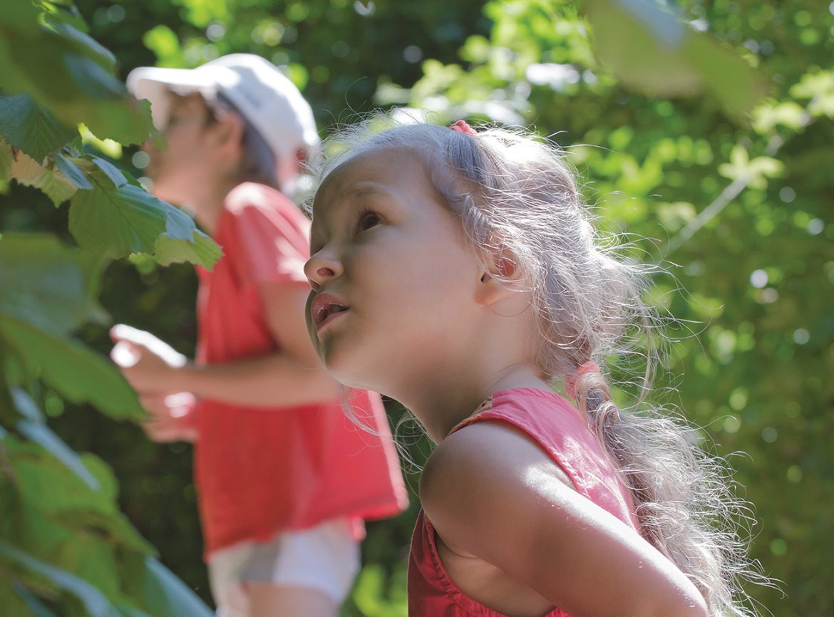 Livin’ The Life: July 2018