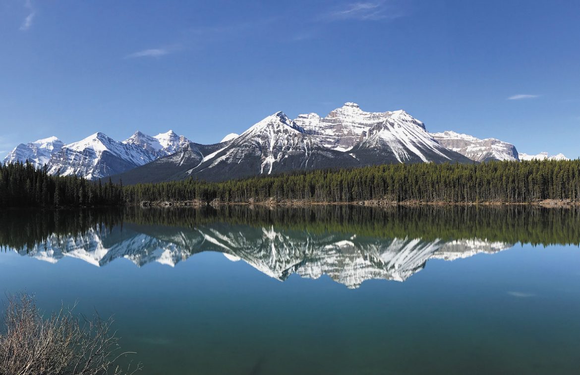 Rear View: September 2018