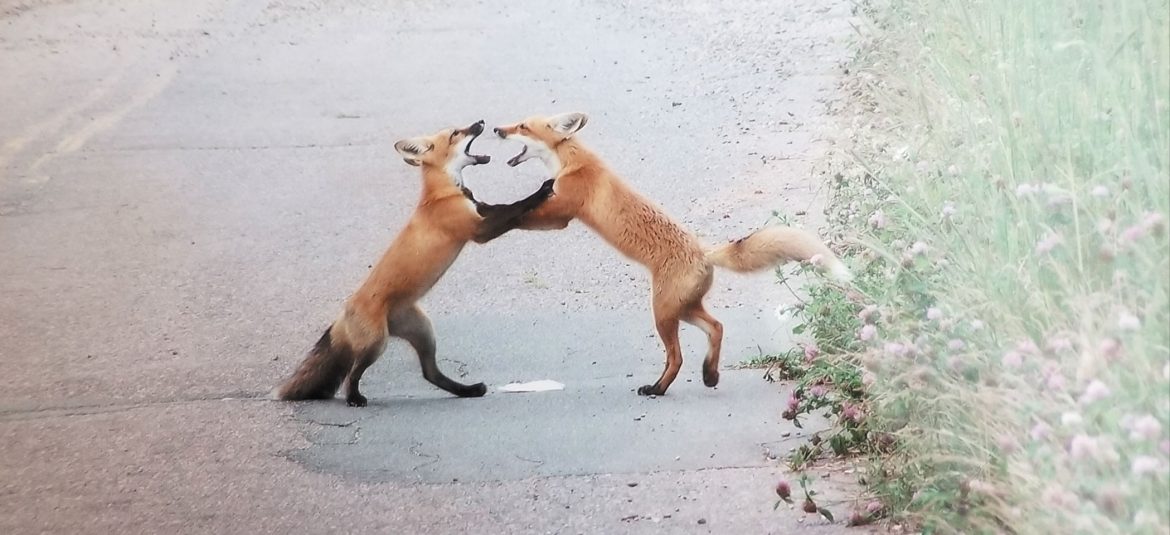 Rear View: December 2018