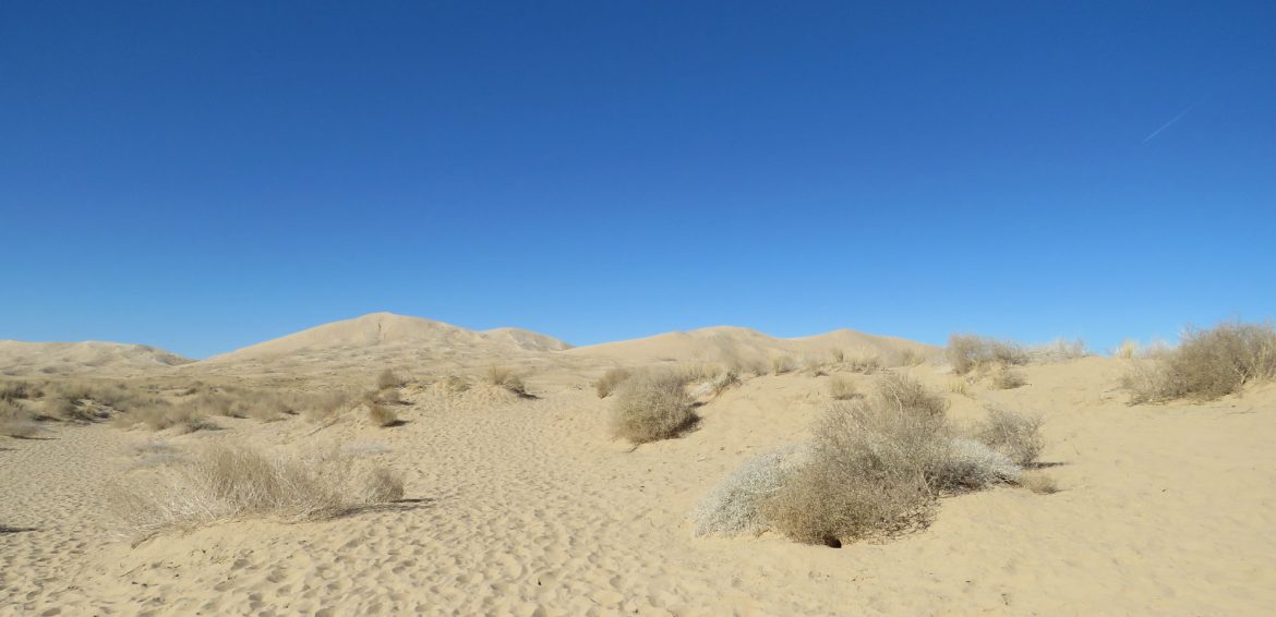 Mojave National Preserve