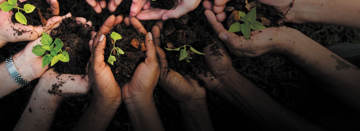 Education, Enrichment Through “Extension”