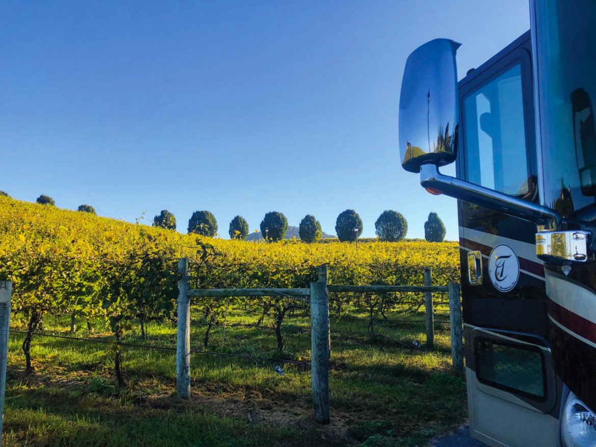 Livin’ The Life: September 2020