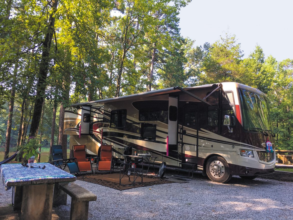 Livin’ The Life: November 2020