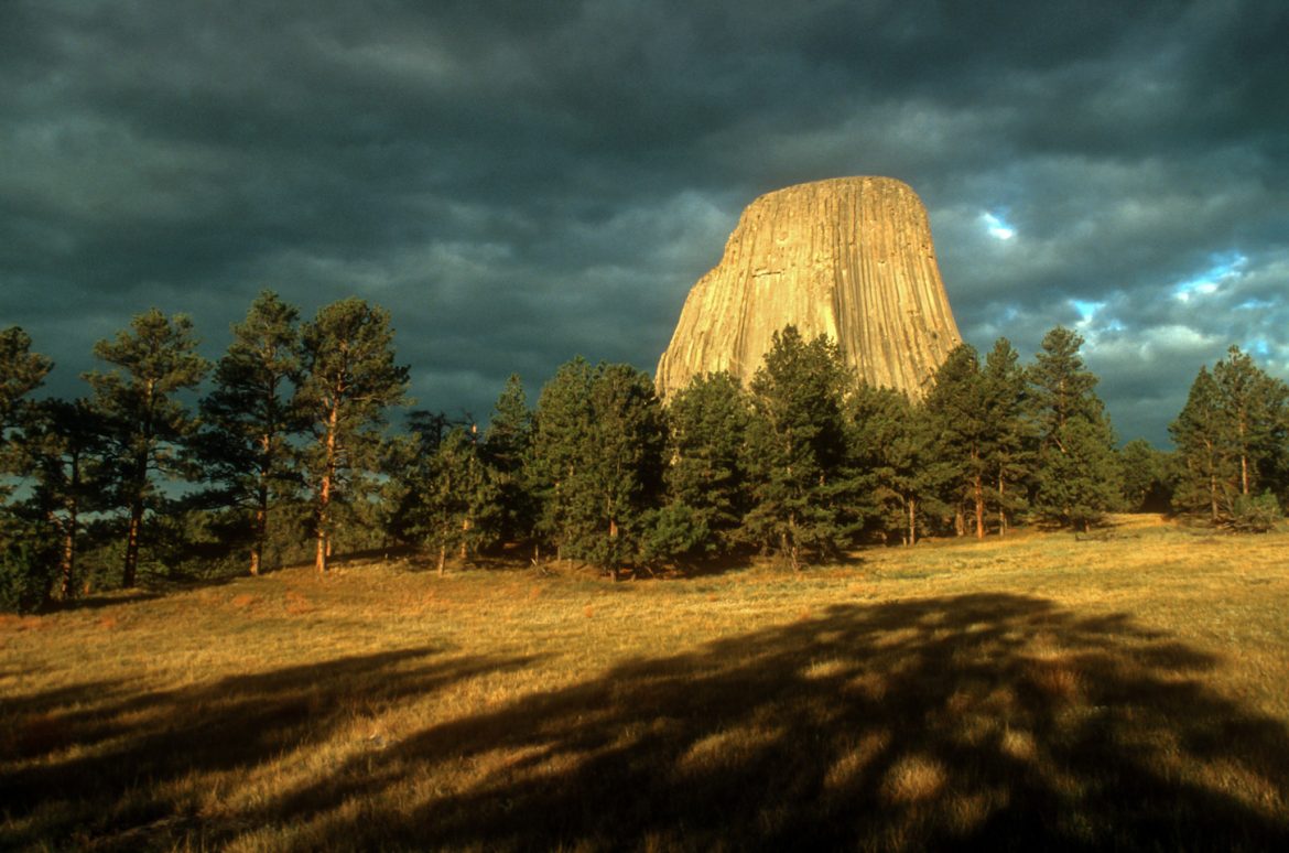 Livin’ The Life: June 2021