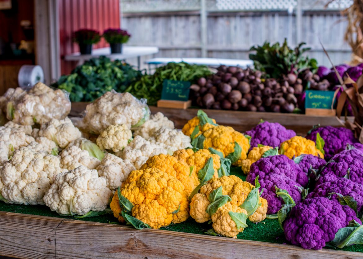 Cooking On The Go: Goodbye Summer, Hello Fall Harvest