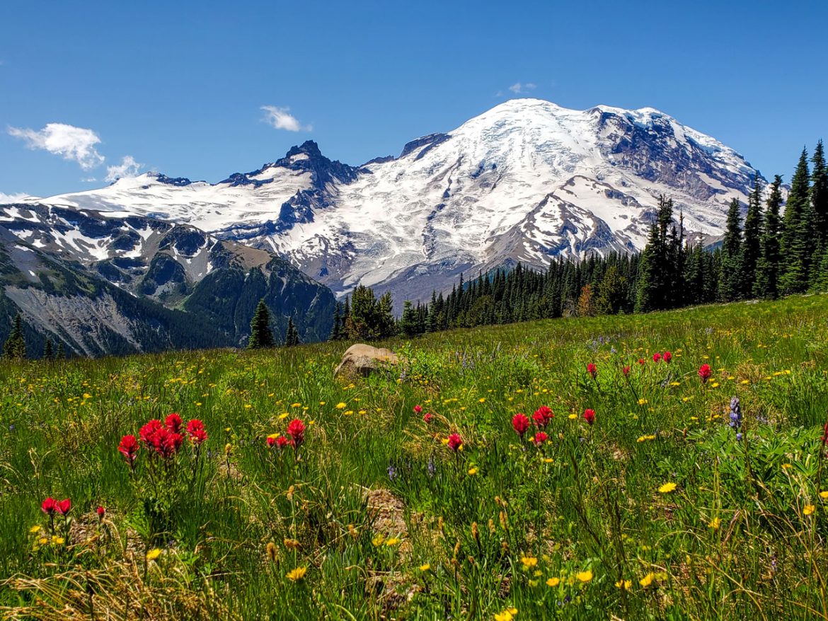 Rear View: September 2022