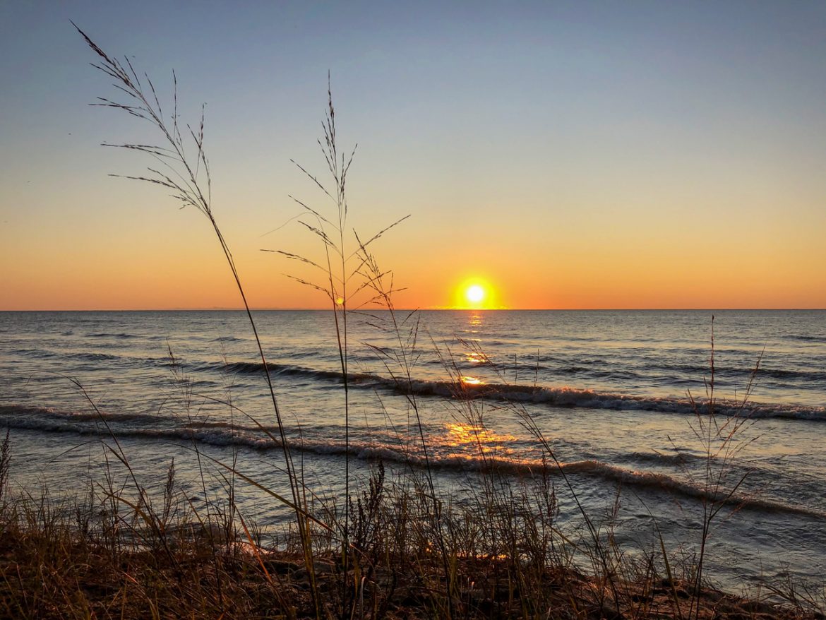 Livin’ The Life: October 2022