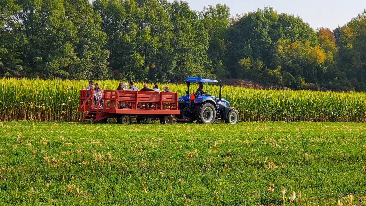 Livin The Life: December 2022