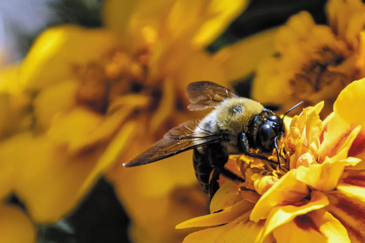 Rear View: March 2023