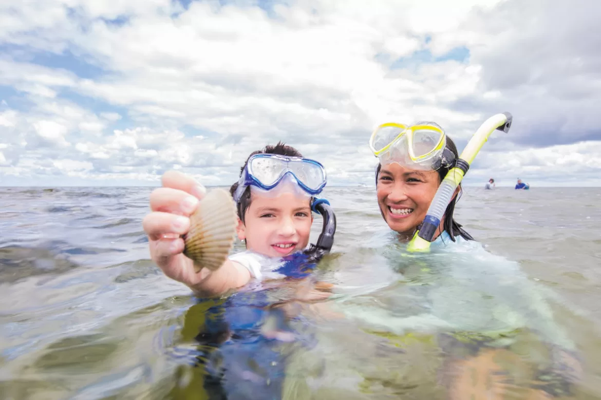 Livin’ The Life: August 2023