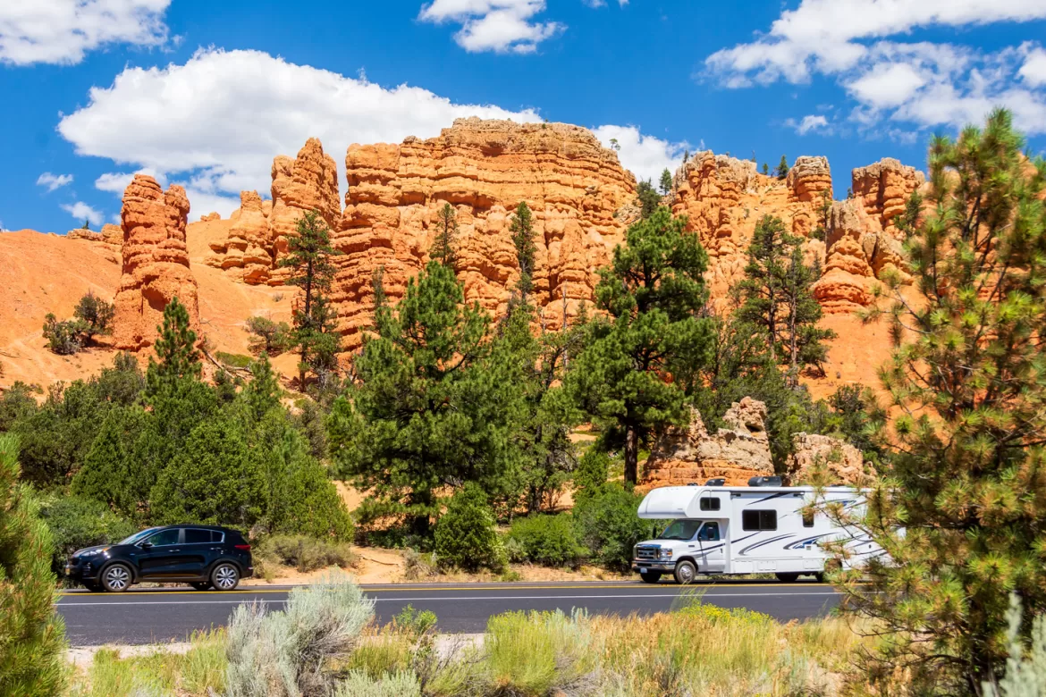 Livin’ The Life: September 2023