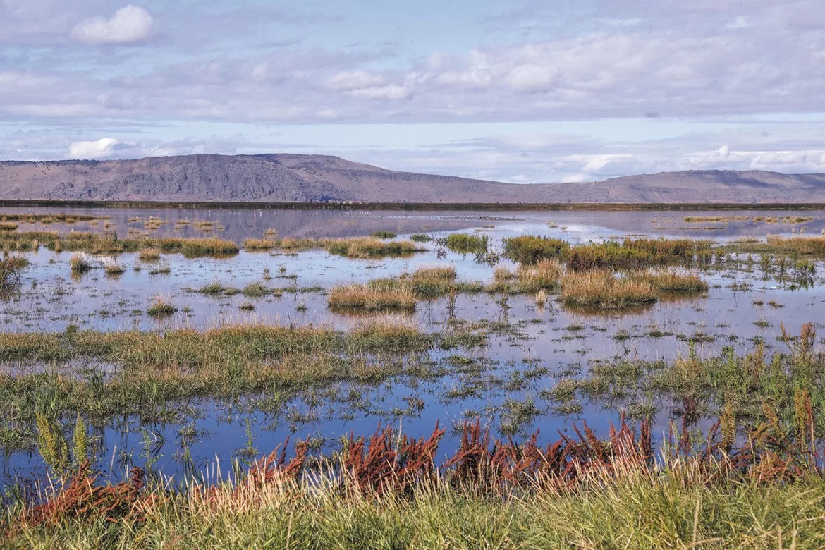 News & Notes: September 2023