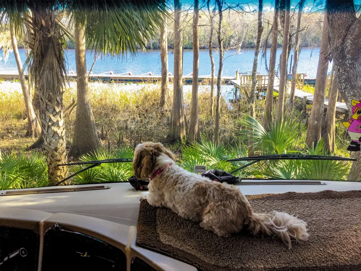 Rear View: September 2023