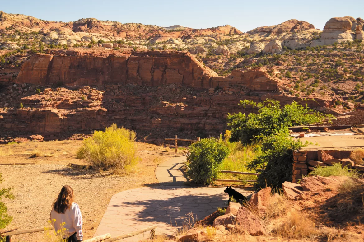 RV “Cabin Fever” Hacks