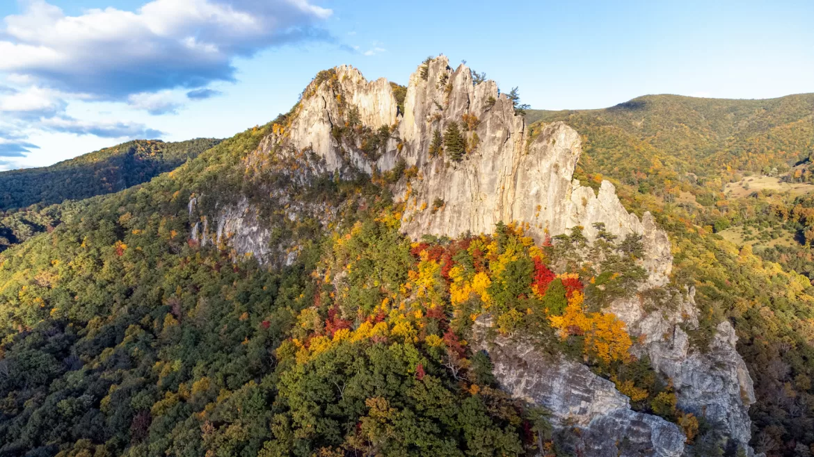 Livin’ The Life: November 2023