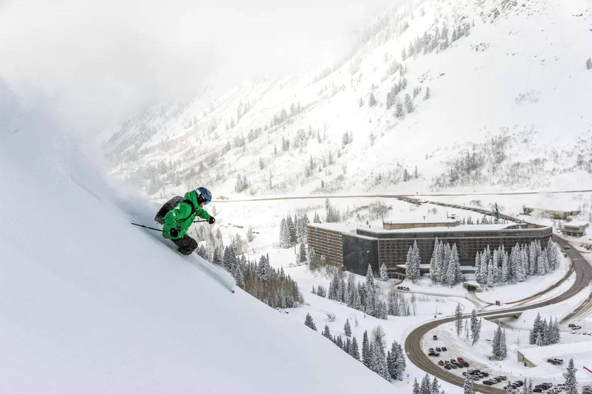 A New Kind Of Snowbird