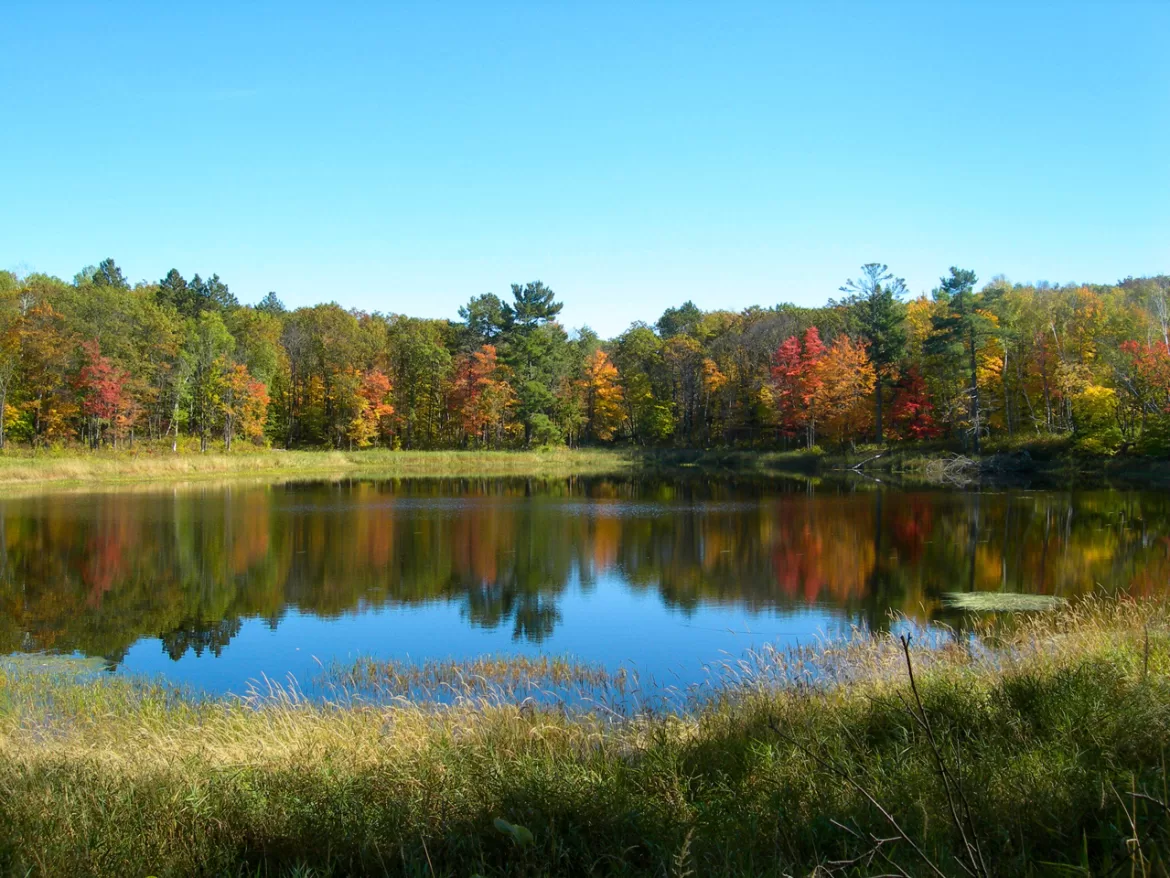 News & Notes: March 2024