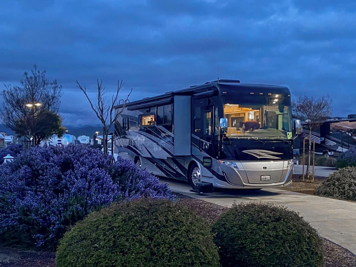 Rear View: January-February 2025