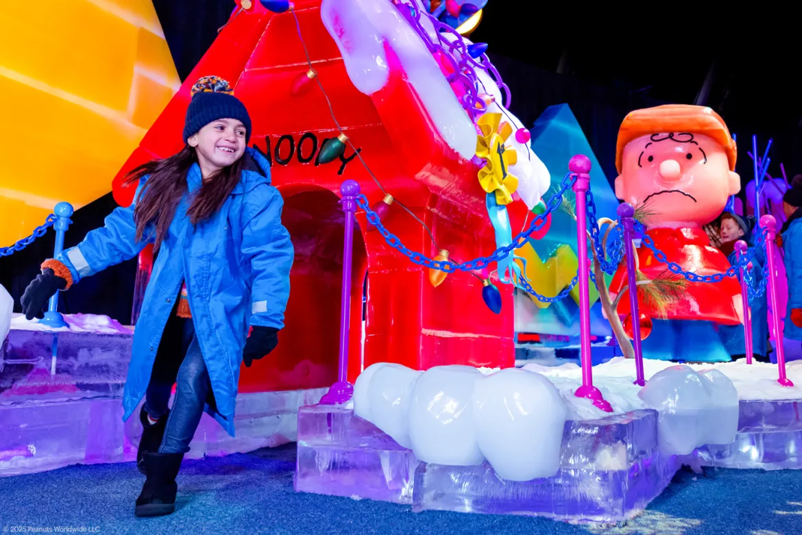 Livin’ The Life: November-December 2025