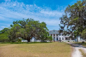 Lucy Carnegie built the Plum Orchard mansion for her son, George, in the late 1800s. 