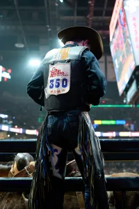 The San Antonio Stock Show & Rodeo features bronc and bull riding, roping, steer wrestling, and more.