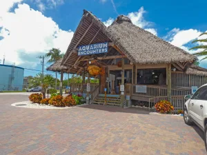 Florida Keys Aquarium Encounters, Marathon.