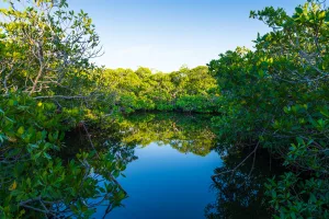 John Pennekamp Coral Reef State Park, Key Largo.