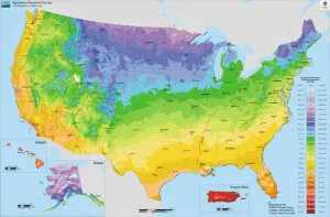 The USDA Plant Hardiness Zone Map suggests which perennials may thrive in a particular location.
