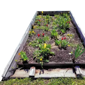 A neglected garden bed can give RVers an opportunity to dig into the soil.